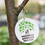 Акция «Миллион деревьев» стартует в Москве сегодня