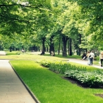 В Москве за 7 лет высажено порядка 6 млн деревьев и кустарников