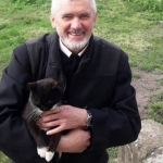 Кот прошел 300 километров, чтобы вернуться в родной монастырь, где прожил 8 лет