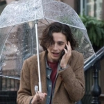 Новый фильм Вуди Аллена «Дождливый день в Нью-Йорке» выходит сегодня в российский прокат